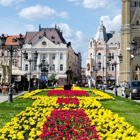 ! Promo! Central Evergreen Studio - Free Public Parking-Fast Wi-Fi Nowy Sad Zewnętrze zdjęcie